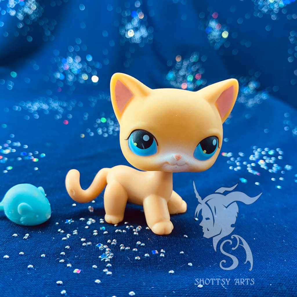 Curious Kitties Interactive Cat Toy Playset - Fun & Engaging Playtime for Indoor Cats - Perfect for Kittens & Adult Cats to Stimulate Hunting Instincts