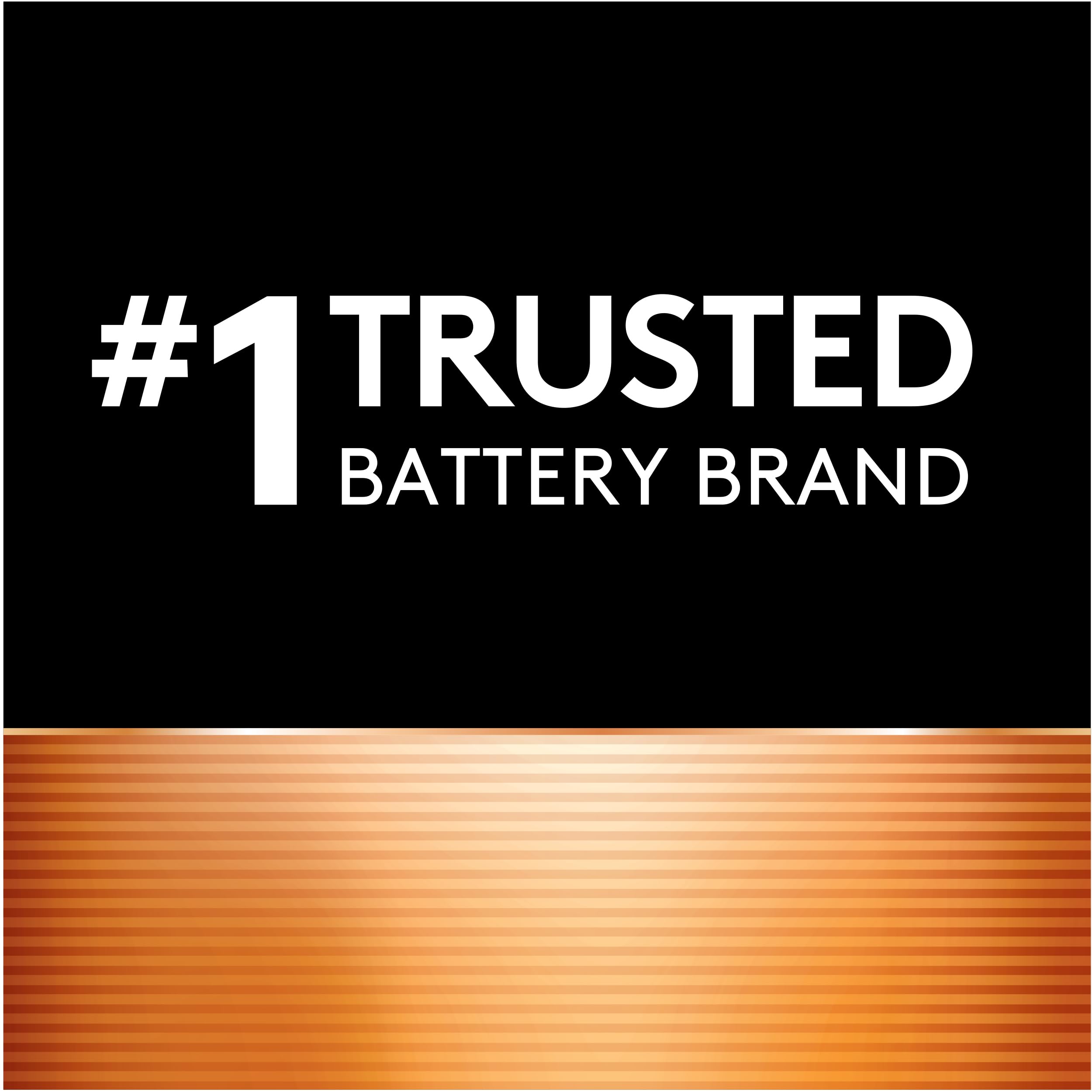 Duracell CopperTop D Alkaline Batteries - Long-Lasting All-Purpose D Cell Batteries for Household & Business Use (2-Pack) - Ideal for Flashlights, Toys, Clocks & Emergency Devices
