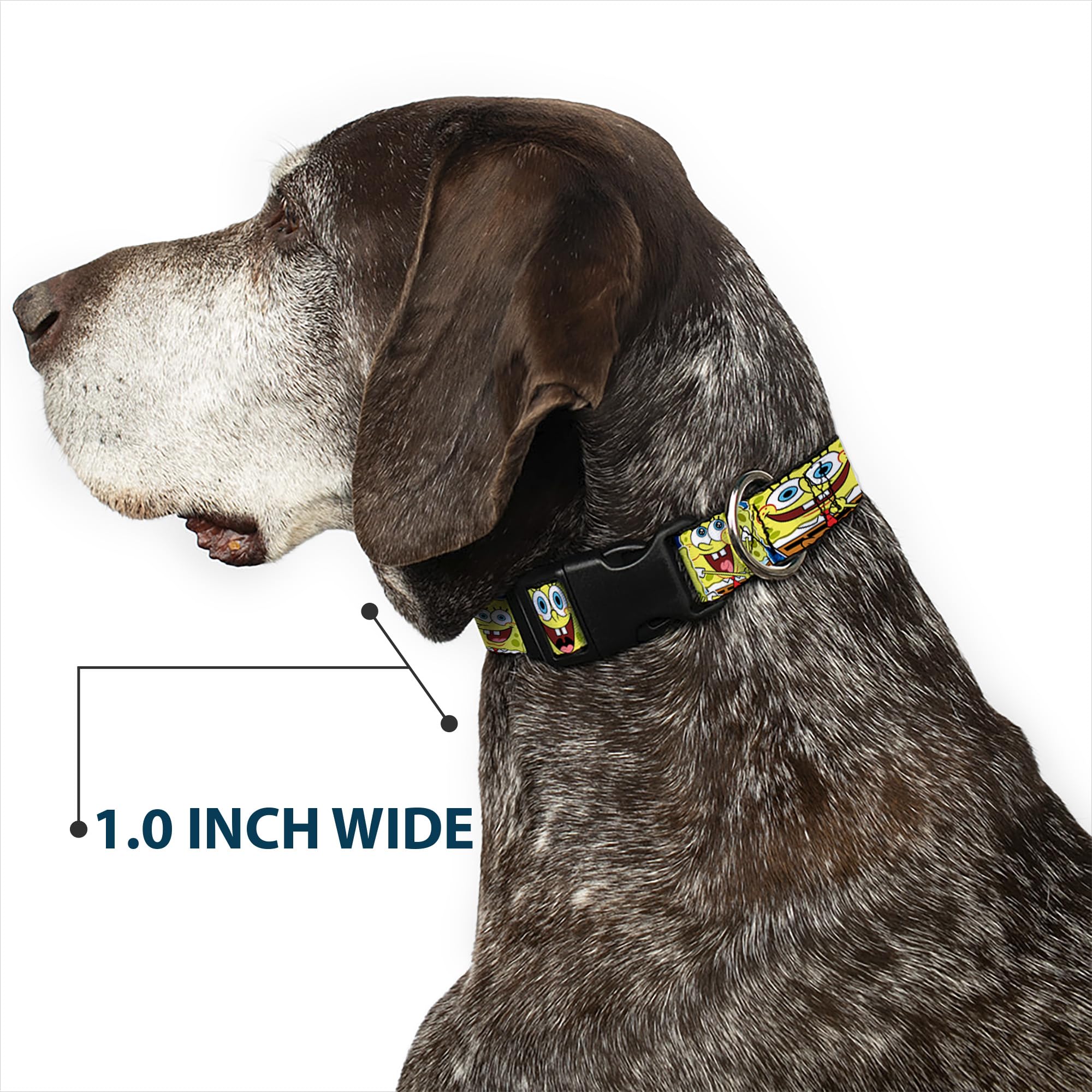 Spongebob Themed Dog Collar with Plastic Clip - Blue Stripe Design, Adjustable 9-15 Inches, 1.0 Inch Wide - Perfect for Playful Pets & Cartoon Lovers
