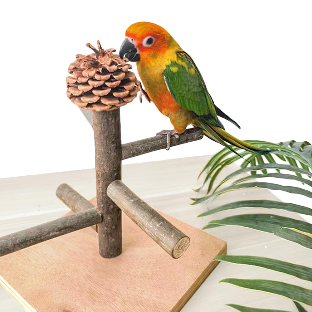 Portable Bird Perch Stand for Parrots - Tabletop Play & Training Perch for Parakeets, Conures, Lovebirds, Cockatiels | Perfect for Bird Cages, Grooming & Playtime at Home