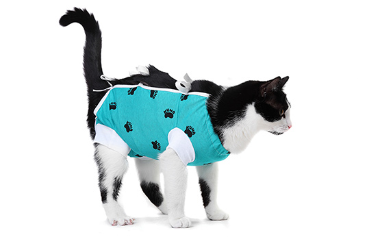 VetMedWear Recovery Gown for Cats, Dogs & Rabbits - Soft Post-Surgery Protective Suit | Comfortable E Collar Alternative for Wound Healing, Spay/Neuter Recovery & Pet Care at Home