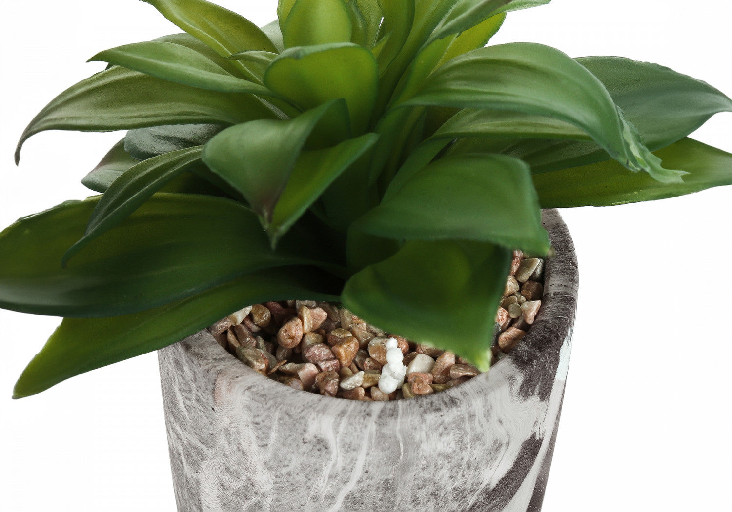 7 Succulent Plants with 4 Marble-Look Pots - Green Set of 2 | Perfect for Home Decor, Office Desk & Gift Ideas