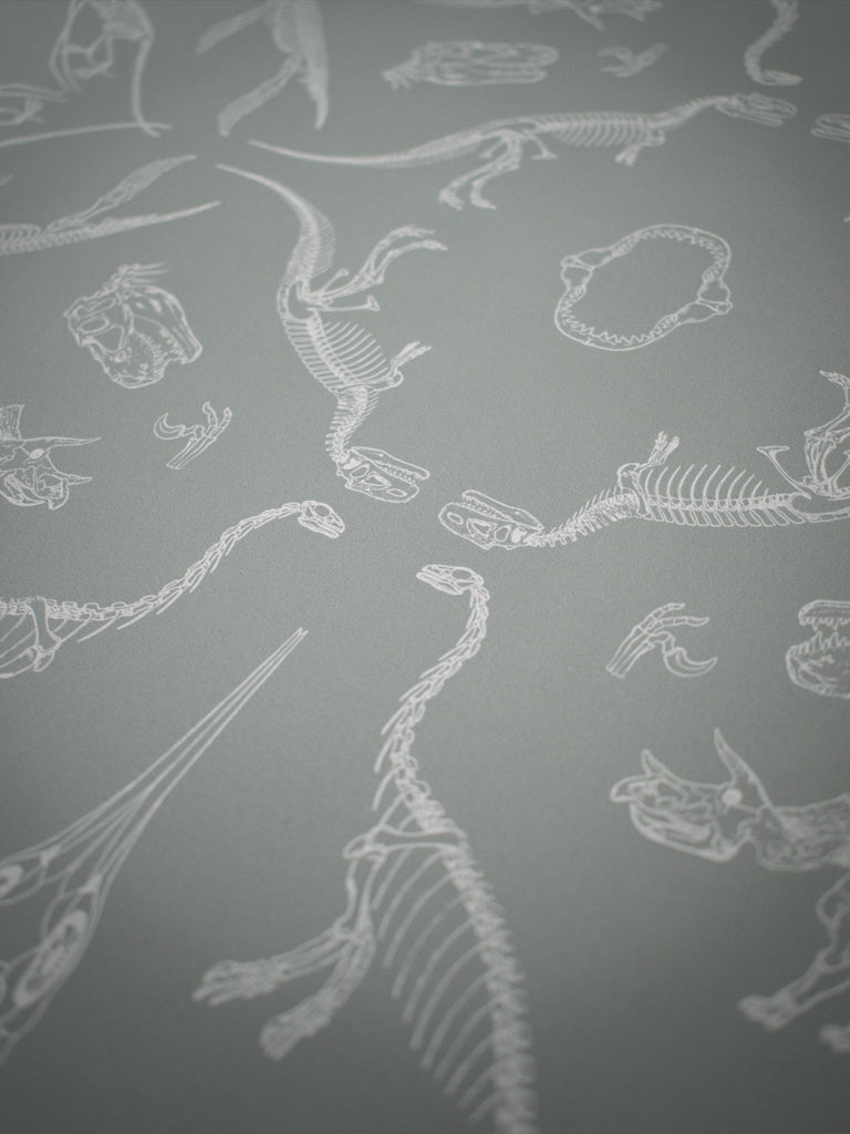 Prehistoric Dinosaur Wallpaper - High-Quality Peel and Stick Wall Mural for Kids Room Decor | Perfect for Nursery, Bedroom & Playroom