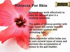 Organic Hibiscus Powder for Hair & Skin Care - 200g | Natural Hair Growth & Glowing Skin Solution | Perfect for DIY Beauty Masks & Hair Treatments