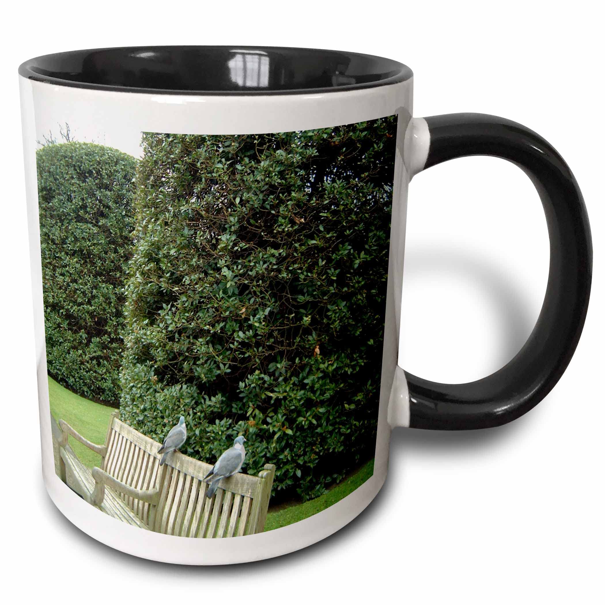 3dRose Two Love Birds Sitting on a Bench in Hyde Park London - Ceramic Coffee Mug, 11 oz - Perfect for Tea, Coffee & Hot Drinks at Home or Office