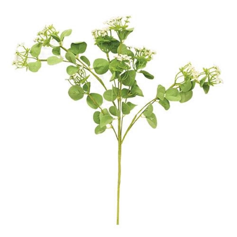 Queen Ann's Lace Spray Cream - Natural Hair Styling & Volumizing Product for Fine Hair - Perfect for Weddings, Prom & Special Occasions