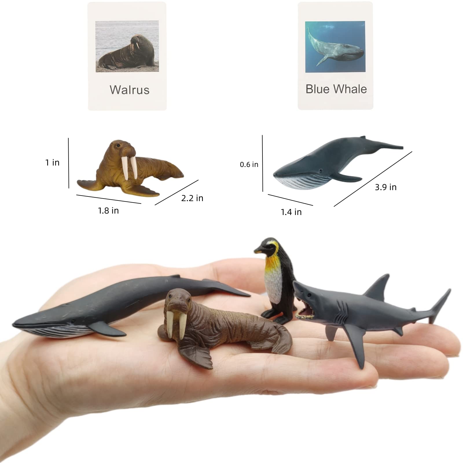 36-Piece Small Animal Figurines Set - Realistic Plastic Dinosaur, Zoo, Jungle & Ocean Animals for Kids - Preschool Learning Toys, STEM Science Matching Game - Perfect for Classroom, Birthday Gifts & Sensory Play