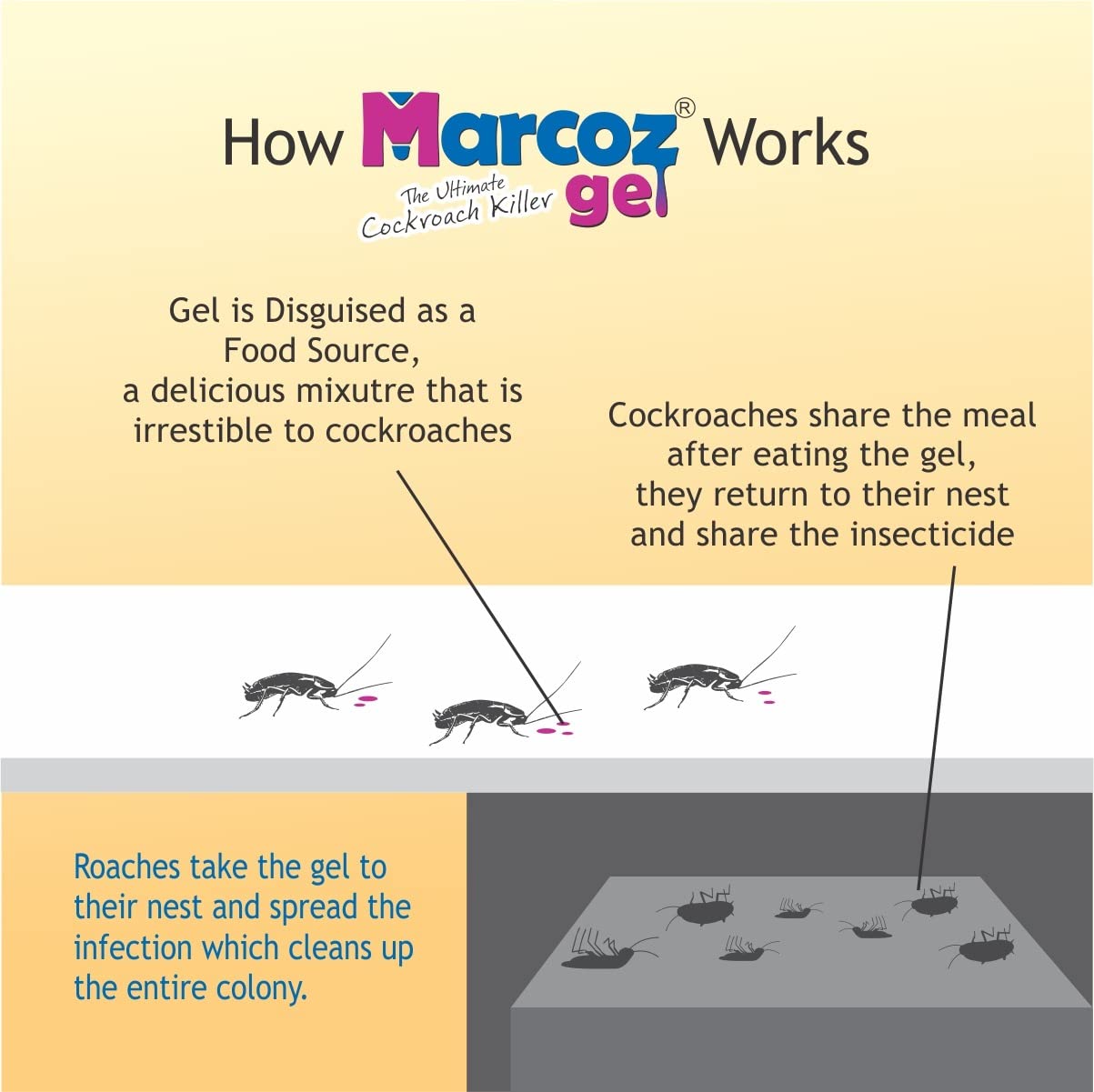 MMR Making Marvelous Marcoz Gel - Ultimate Cockroach Killer Gel for Home & Kitchen | Safe, Odorless, Fast-Acting | Powerful 20g (Pack of 2) | Effective Pest Control for Apartments, Restaurants & Food Storage Areas