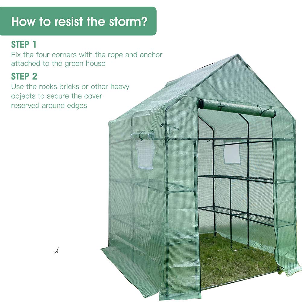 Walk-in Greenhouse for Outdoor Plants - Portable Large 56