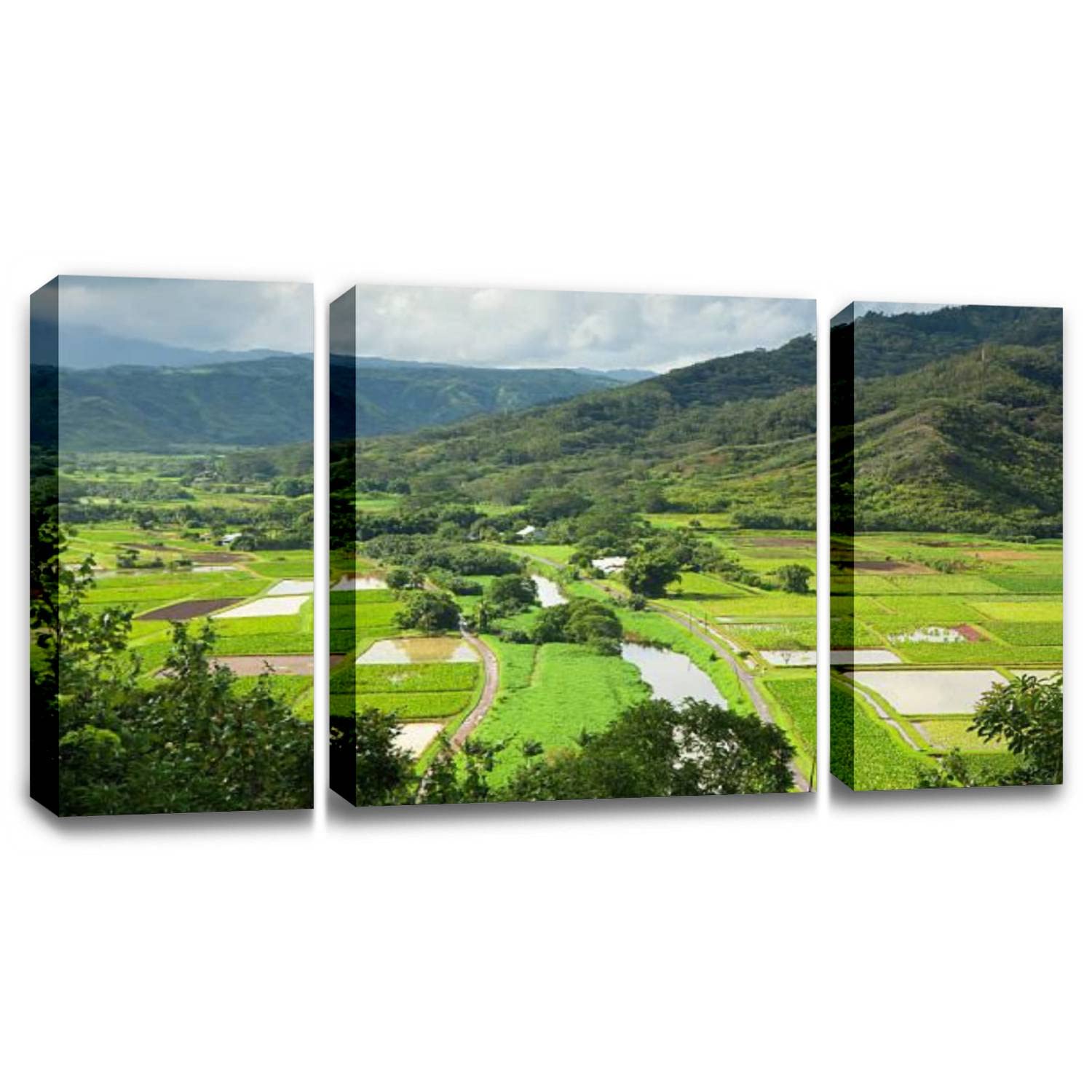 3-Piece Taro Fields in Hanalei Valley Kauai Hawaii Canvas Wall Art - Stretched & Framed Kitchen Pictures Wall Decor for Home & Restaurant - Ready to Hang (Perfect for Dining Room, Cafe, and Farmhouse Decor)