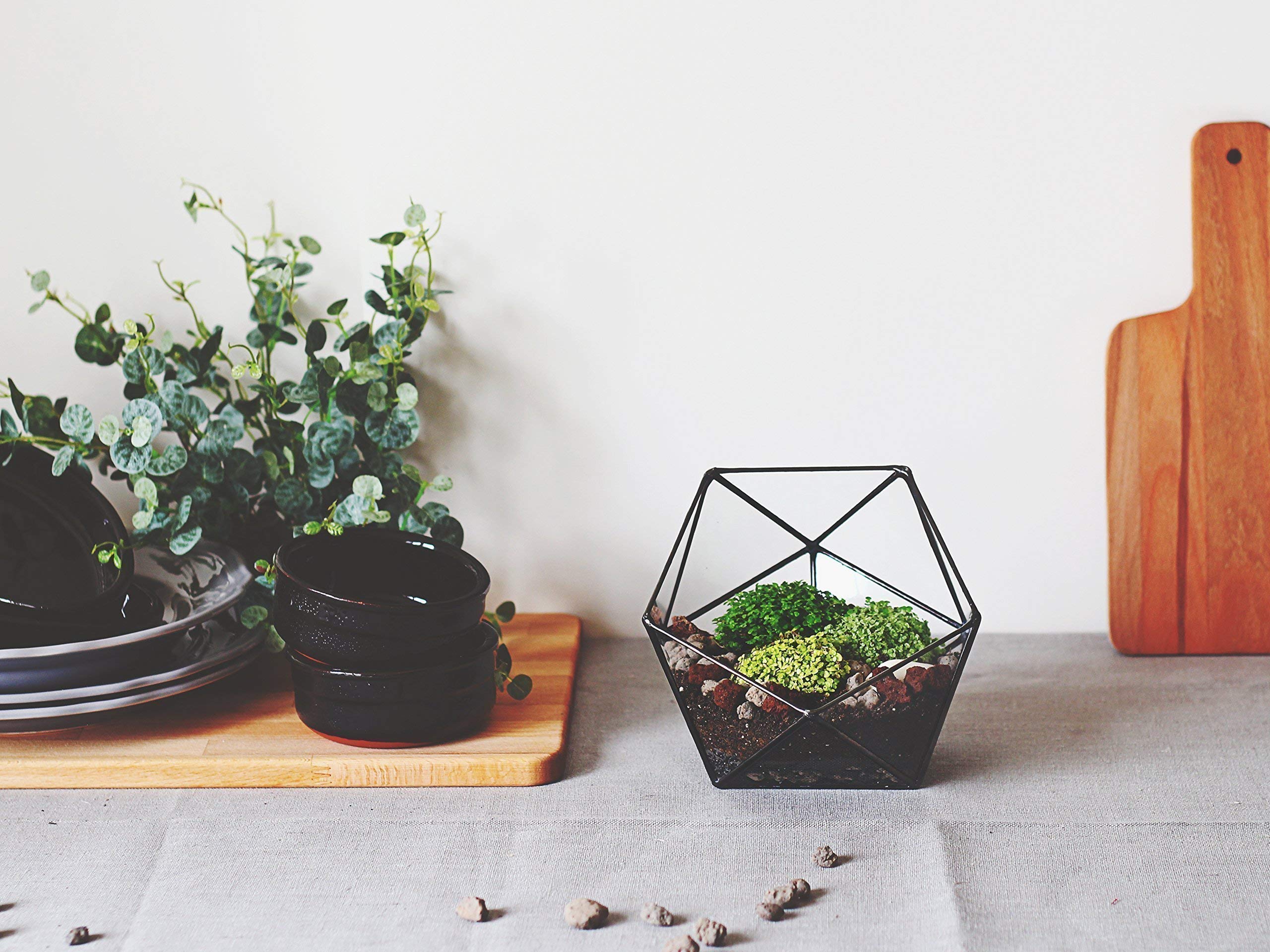 Clear Glass Geometric Terrarium Container - Modern Icosahedron Planter for Succulents & Air Plants | Home & Living Room Decor | Wedding Table Centerpiece & Reception Decor (Copper, Silver, Black) | Perfect for Indoor Plant Display, Office Desk Decor, and Gift Giving