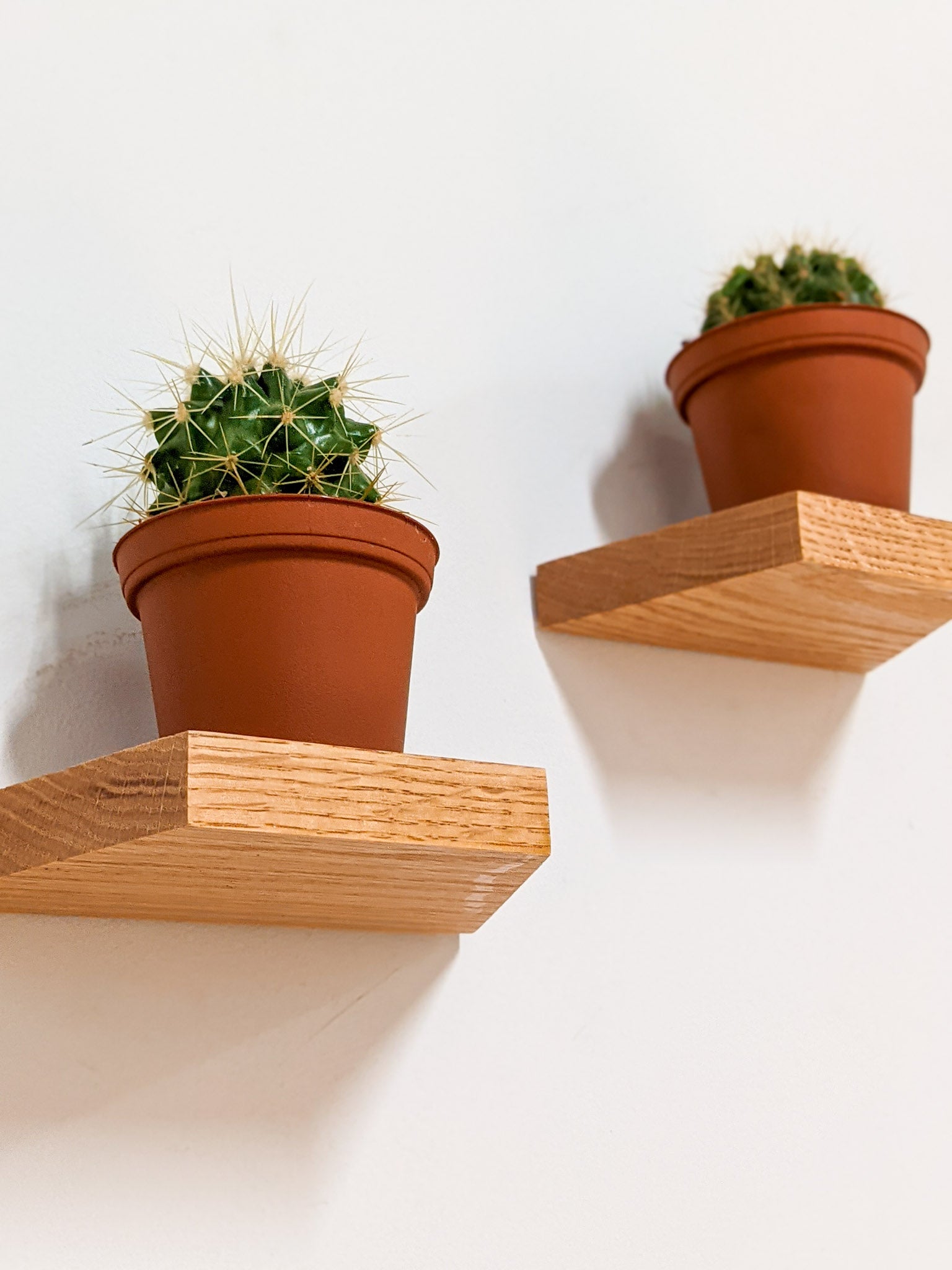 Stylish Mahogany Small Trapezoid Display Shelf - Perfect for Home Decor, Retail Stores & Office Organization