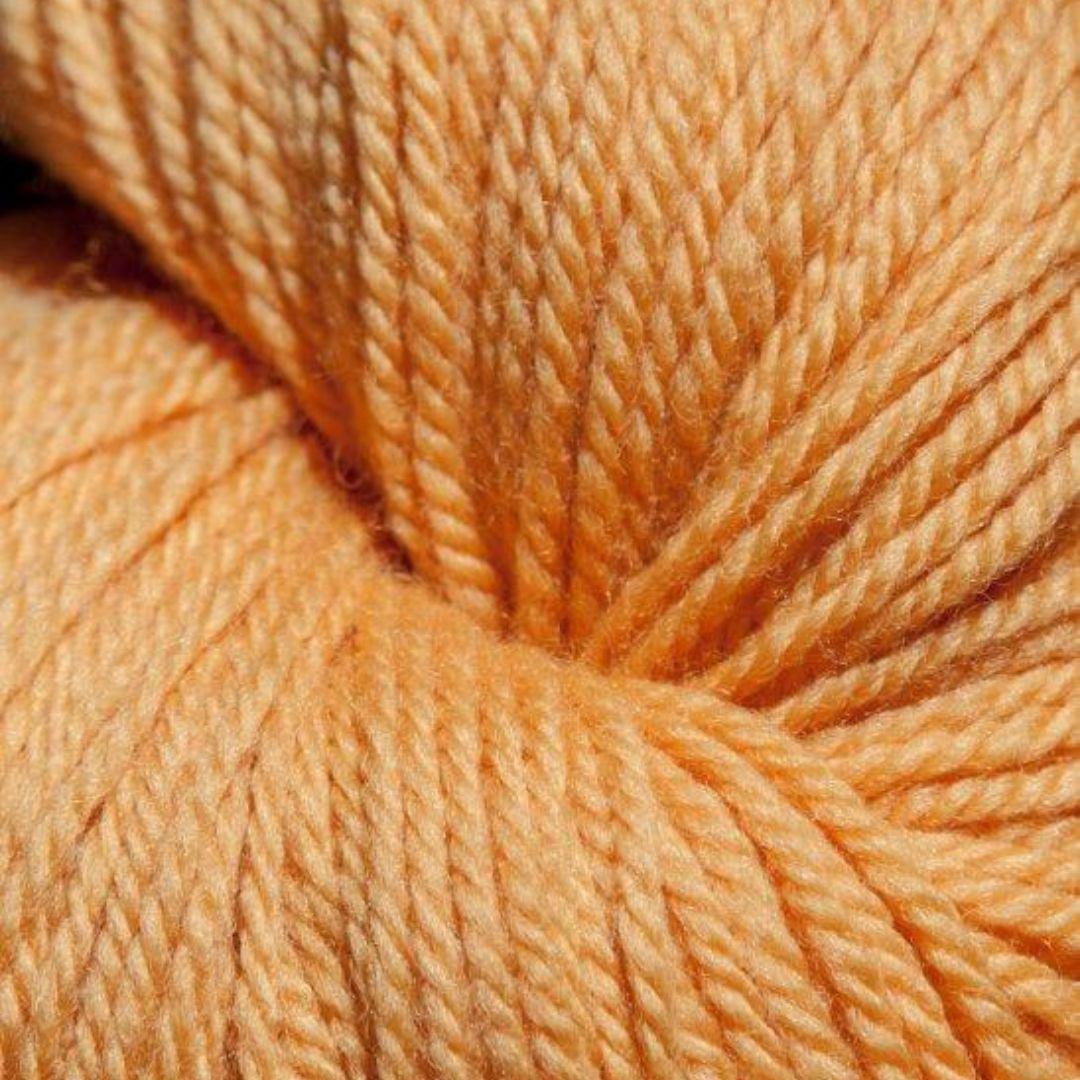 Butterscotch