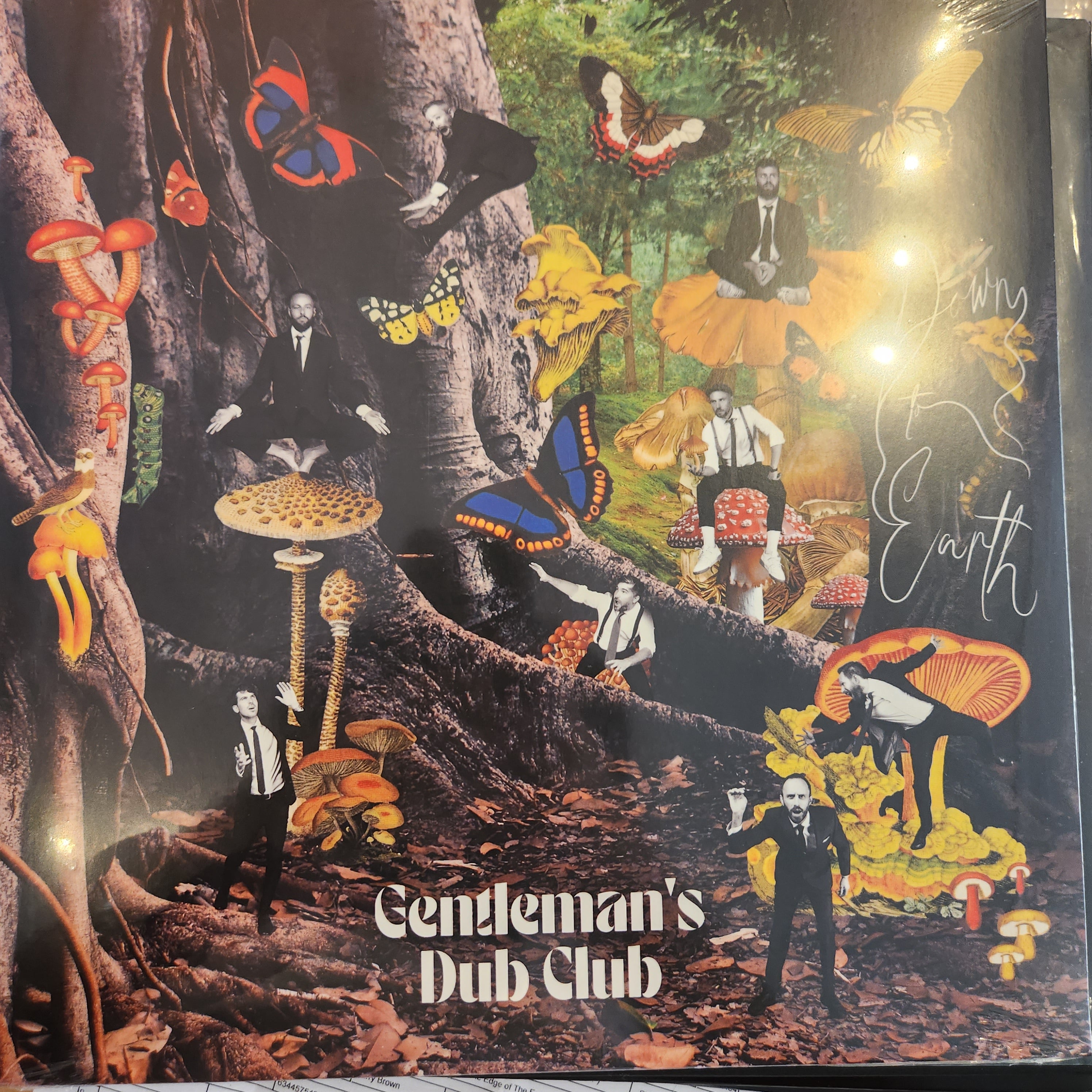 Gentleman's Dub Club - Down to Earth Vinyl LP Record | Reggae & Dub Music | Perfect for Home Listening & Music Collectors