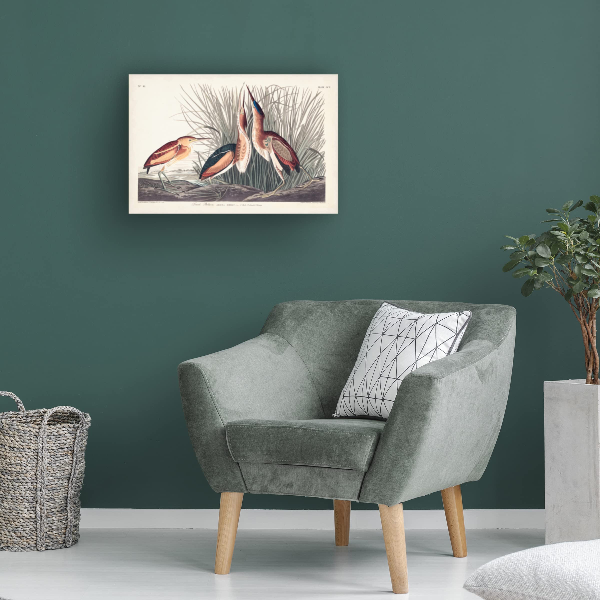 Trademark Fine Art 'Least Bittern' Canvas Wall Art by John James Audubon - 30x47 Inches, Wildlife Bird Painting for Home & Office Decor