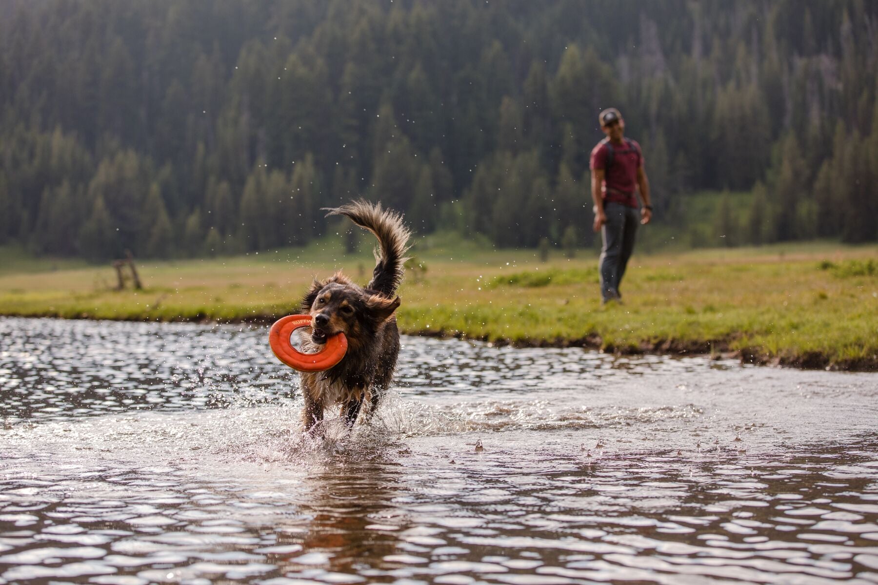 Hydro Plane™ Floating Dog Disc - Blue Aqua (Aurora Teal) - Waterproof Floating Fetch Toy for Dogs - Perfect for Pool, Beach & Lake Play by Ruffwear®
