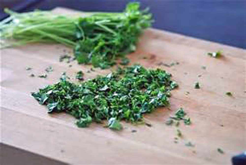 Organic Cilantro Slow Bolt Heirloom Seeds - 99+ Non-GMO Herb Seeds for Cooking, Gardening & Fresh Salsa Making - Perfect for Home Gardens, Container Planting & Culinary Use