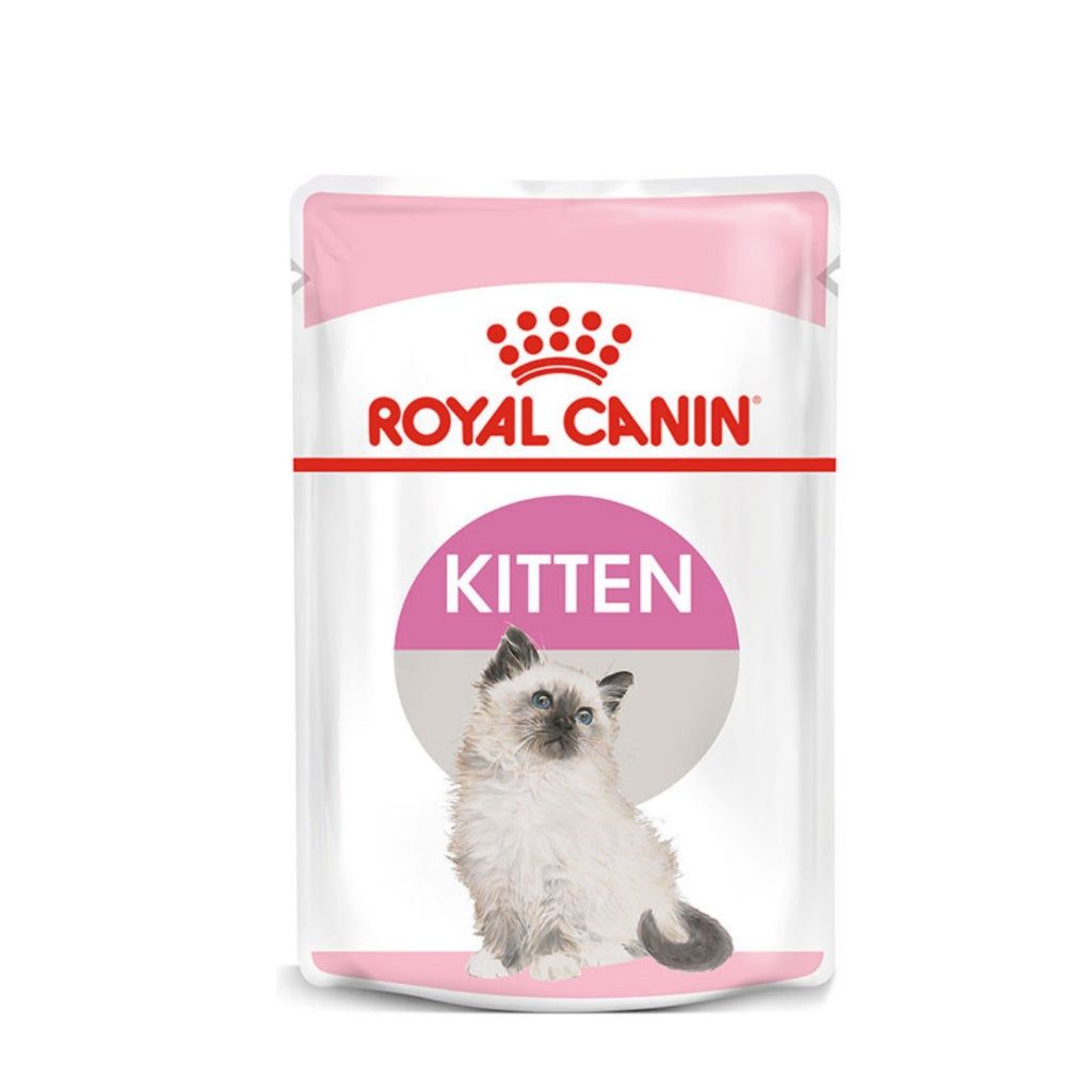 Royal Canin Wet Cat Food for Adult Cats - 85g Pouch, High Protein & Balanced Nutrition - Perfect for Picky Eaters & Indoor Cats - Ideal for Daily Meals & Special Occasions