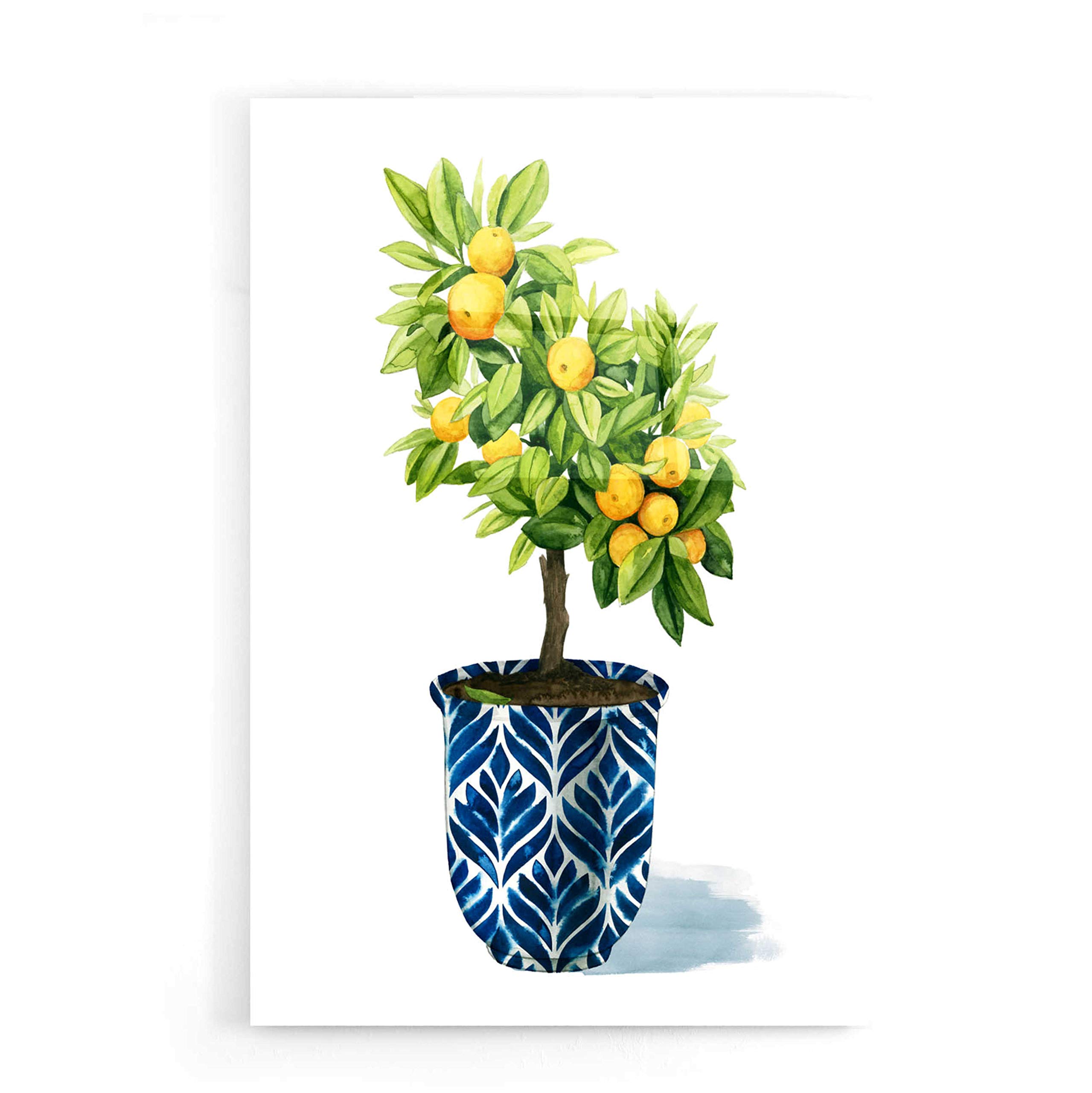 Grace Popp 'Fruit Tree I' Acrylic Glass Wall Art - 16x24 Inches Modern Home Decor - Perfect for Living Room, Bedroom & Office Decorations