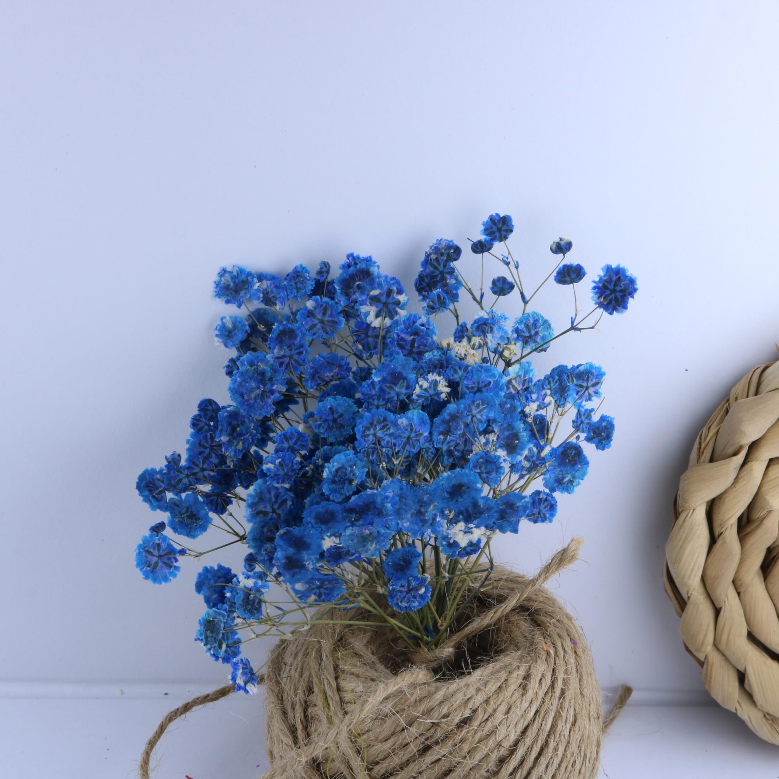50 Pcs Natural Sapphire Blue Dried Baby's Breath Flowers Bulk - Real Gypsophila Pressed Flowers for DIY Resin Art, Candle Making, Wedding Decor & Scrapbooking - Includes Free Tweezers Set