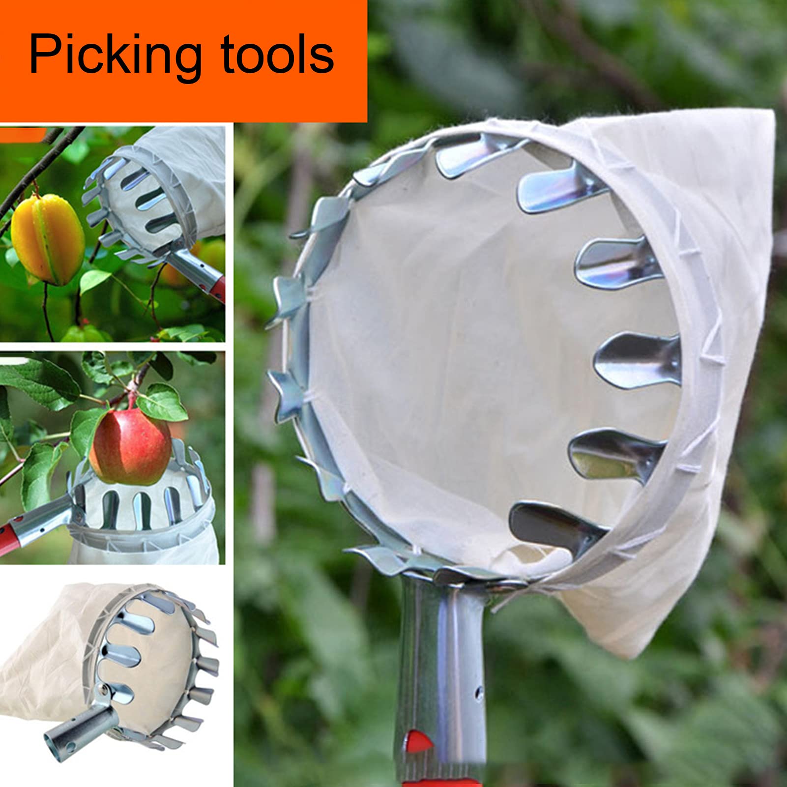 Stainless Steel Fruit Picker Tool with Basket - Extendable Cherry, Apple, Pear, Peach & Citrus Harvester for Home Garden Harvesting | Perfect for Backyard Orchards and Small Farms