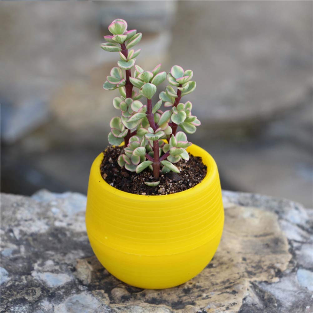 Cabilock Succulent Pots - 3 Pack Small Resin Planters with Drainage Holes for Indoor/Outdoor Succulents, Cacti, Herbs - Perfect for Home Decor, Office Desk, Garden & Gift Giving