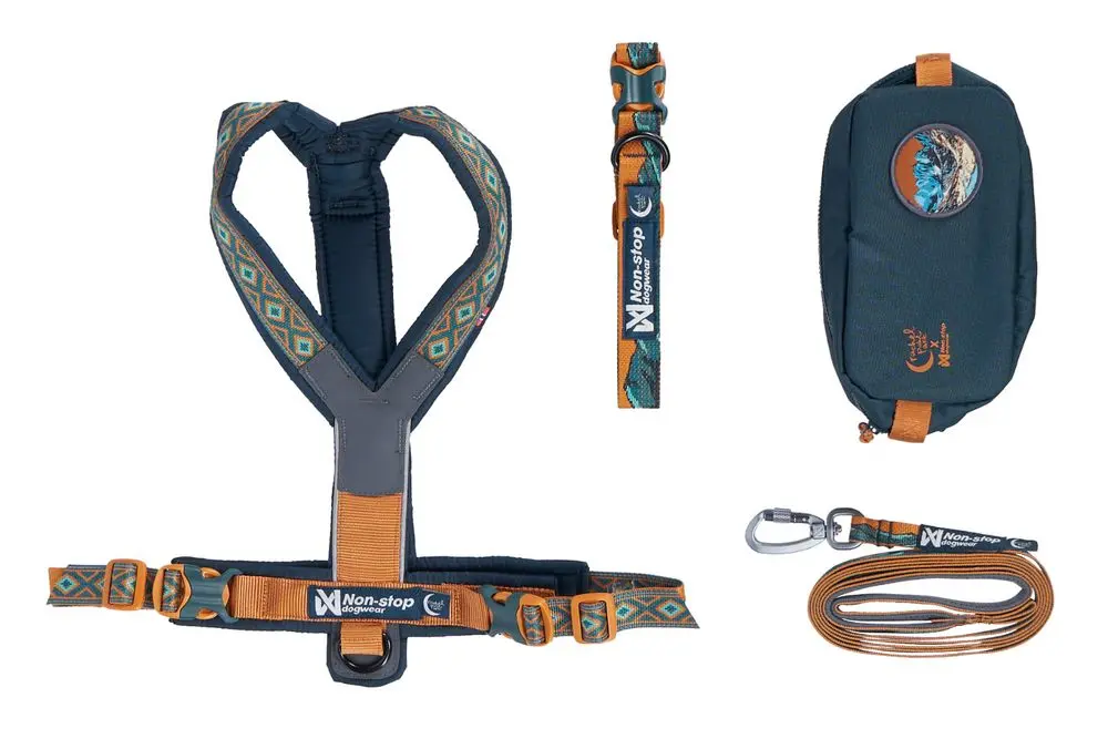 Non Stop Dog Wear Rachel Pohl Signature Series Trail Quest Dog Collar - Teal & Oak Color - Durable Outdoor Adventure Collar for Hiking, Camping & Daily Walks
