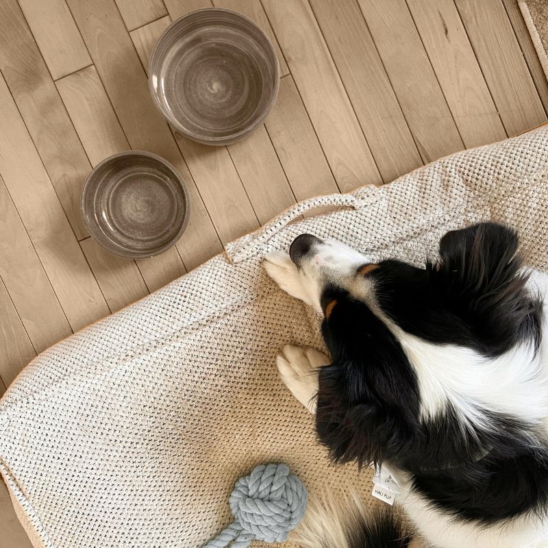 Peachy Dogs Ceramic Dog Bowl - Grey Pet Food Dish for Small & Medium Dogs - Durable & Non-Slip Raised Feeder for Indoor/Outdoor Use - Perfect for Home, Patio, or Travel