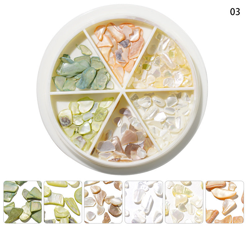 Mixed Shape Resin Shells Decoration Wheels - DIY Craft Supplies for Home Decor, Scrapbooking & Jewelry Making
