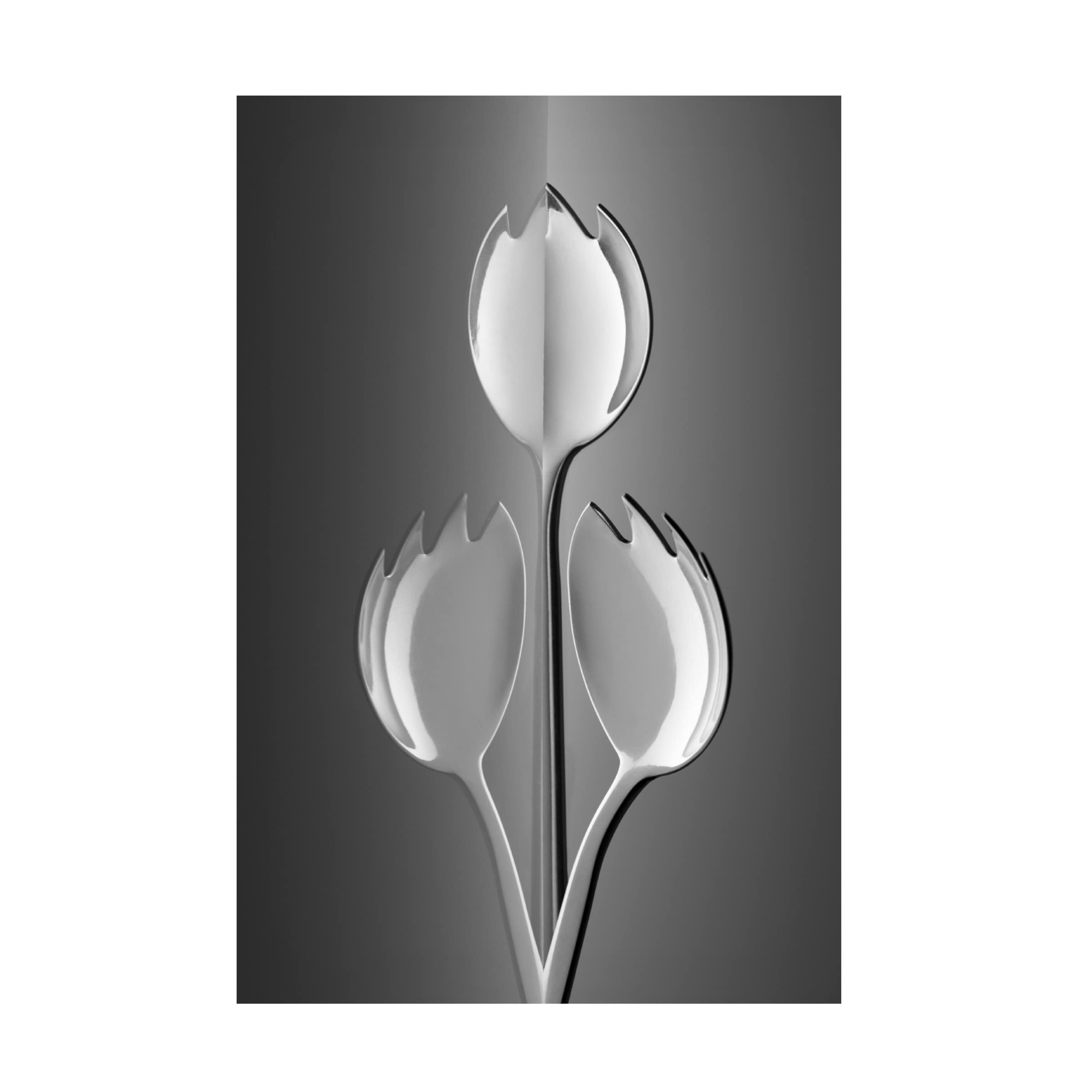 Trademark Fine Art 'Tulips From Holland' Canvas Art Print by Wieteke De Kogel - Floral Wall Decor for Living Room, Bedroom & Office