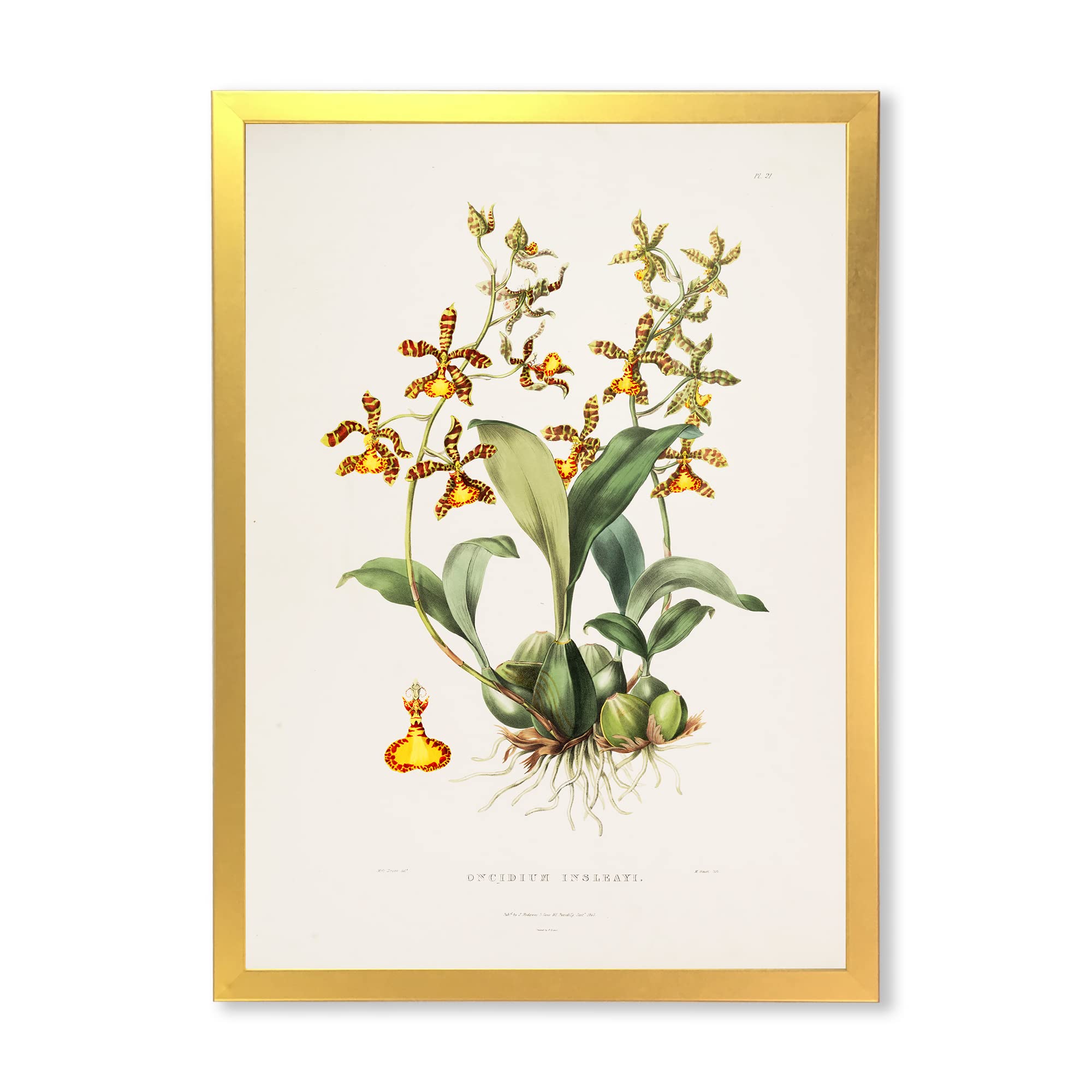 Vintage Floral Framed Wall Art - Classic Home Decor for Living Room, Bedroom & Office - Perfect Gift for Housewarming & Wedding