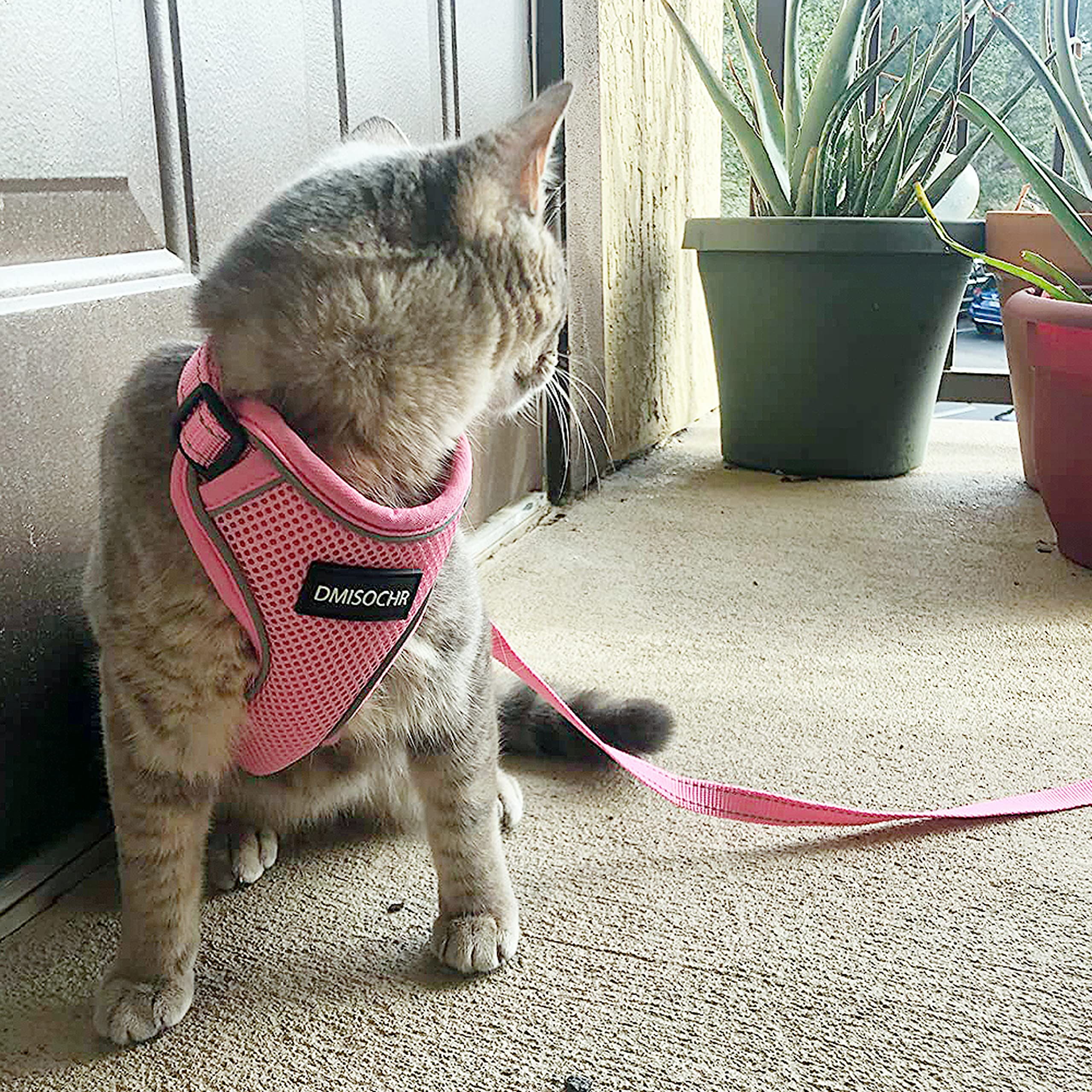 Escape-Proof Cat Harness & Leash Set - Adjustable Reflective Vest for Small to Large Cats & Puppies | Soft Breathable Mesh Full Body Harness (Pink) | Perfect for Outdoor Walks, Vet Visits & Travel Adventures