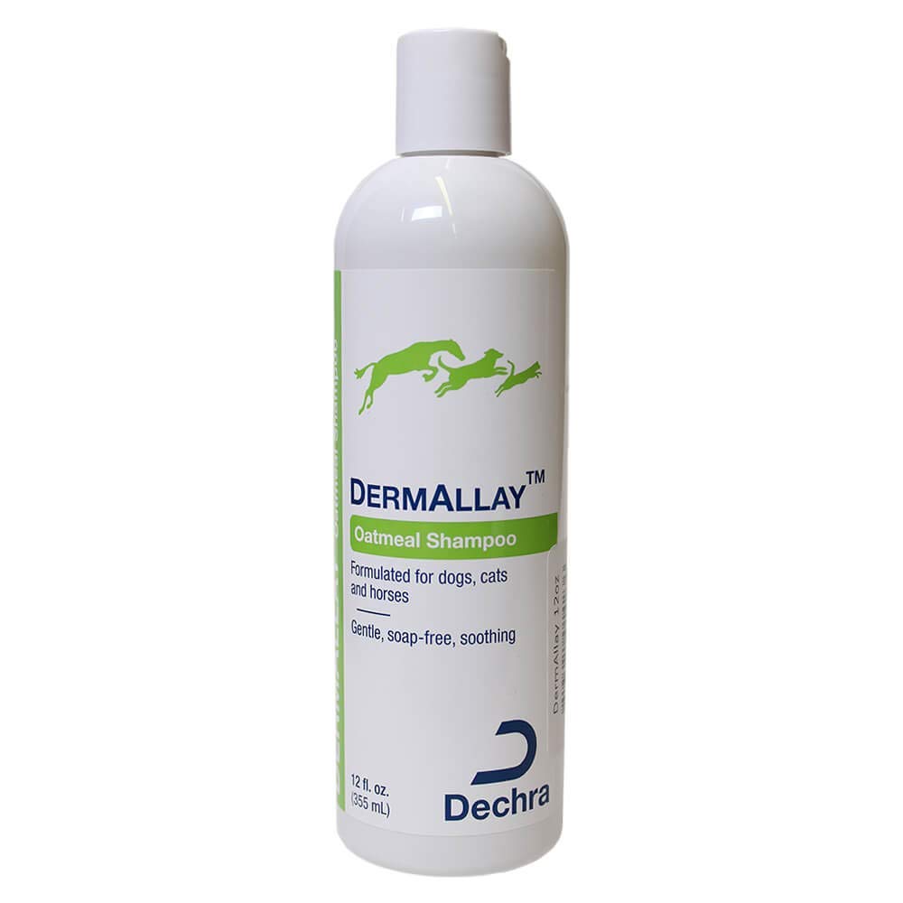 Dechra DermAllay Oatmeal Shampoo for Dogs & Cats - 12 oz | Soothing & Hypoallergenic Pet Shampoo for Dry, Itchy Skin | Gentle Cleansing for Sensitive Skin & Allergy Relief - Perfect for Bath Time & Grooming Routine