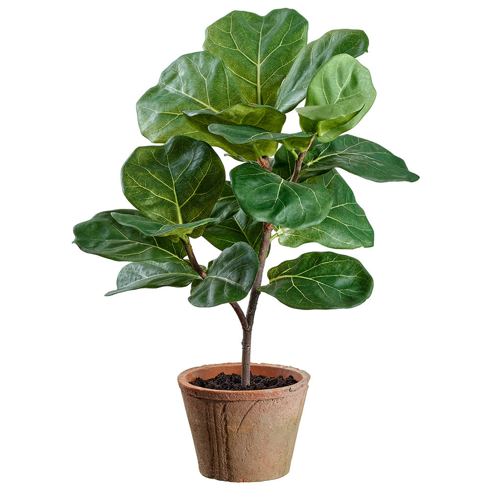 1.5 ft Fiddle Leaf Fig Artificial Silk Tree with Clay Pot - Set of 6 Realistic Fake Plants for Home Decor, Office, Living Room, Bedroom & Indoor Greenery