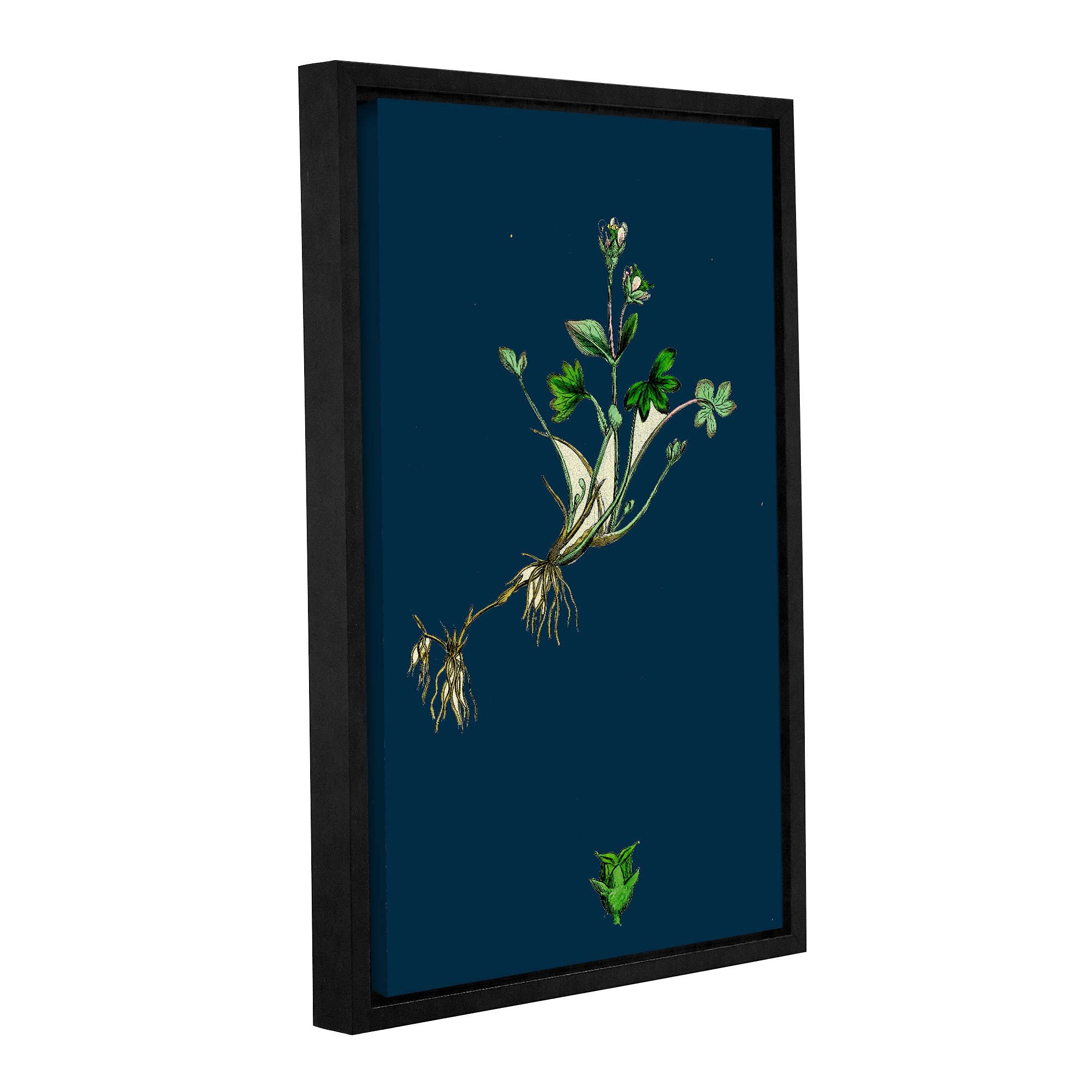 ArtWall Bridgeman Whorled Water Milifoil Framed Canvas Print 32x48 Inches - Premium Gallery Wrapped Floater Frame Wall Art for Living Room, Bedroom & Office Decor