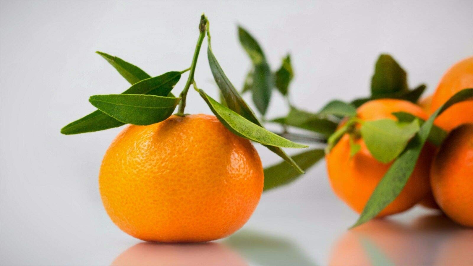 Tangerine Mandarin Orange Citrus Fruit Tree Seeds (20 Pack) - Grow Fresh Citrus at Home for Juicing, Cooking, and Garden Decor