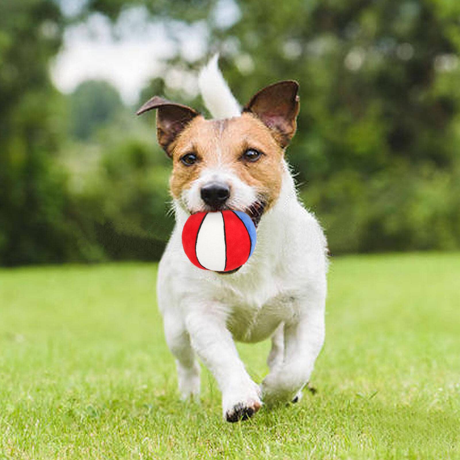 2PCS Interactive Squeaky Dog Toys - Plush Chew Balls for Small & Medium Dogs - Puppy Teething Toys - Perfect for Indoor/Outdoor Play, Training & as Christmas/Birthday Gifts for Pets - Fun Basketball & Volleyball Style Playtime