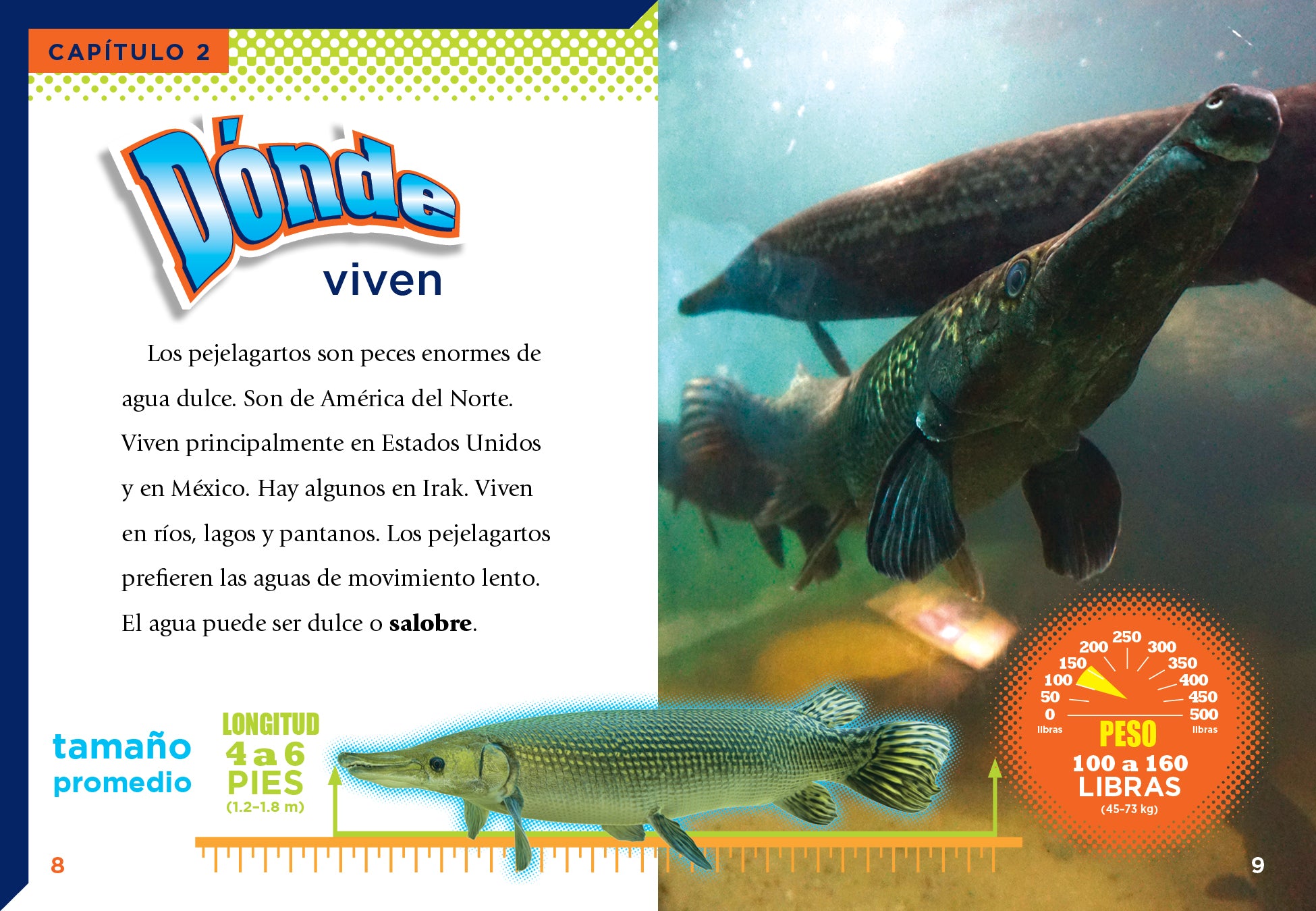 El Pejelagarto Book - 9781644666456 - Perfect for Fishing Enthusiasts and Outdoor Adventure Lovers