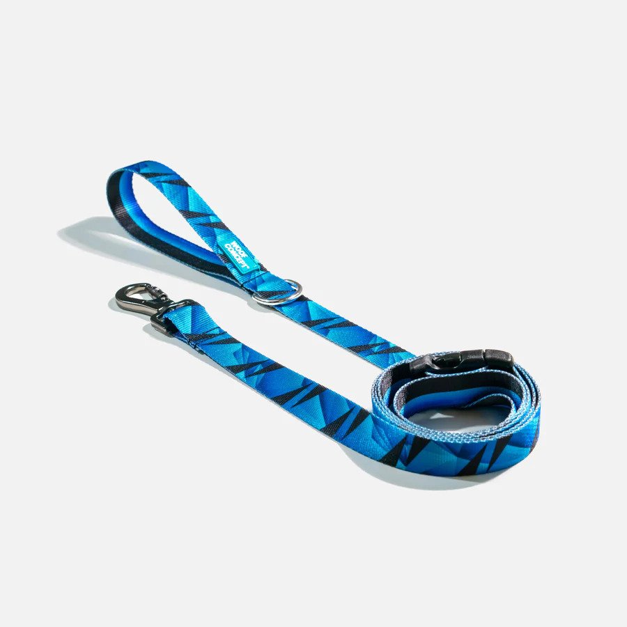 Premium Reflective Dog Leash - Strong Nylon Pet Walking Lead with Comfortable Padded Handle for Small Medium Large Dogs - Perfect for Night Walks, Jogging & Outdoor Adventures