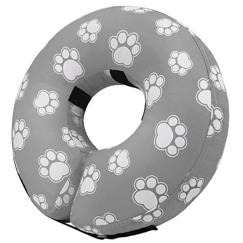 T Paw Grey