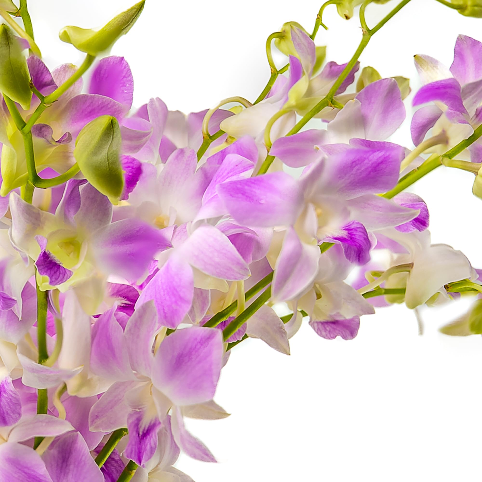 Premium Lavender Orchid Bouquet - 10 Stems Fresh Artificial Flowers for Home Decor, Weddings, Mother's Day, Anniversaries & Special Occasions - High-Quality Silk Orchid Arrangement for Centerpieces, Table Decor & Gifts
