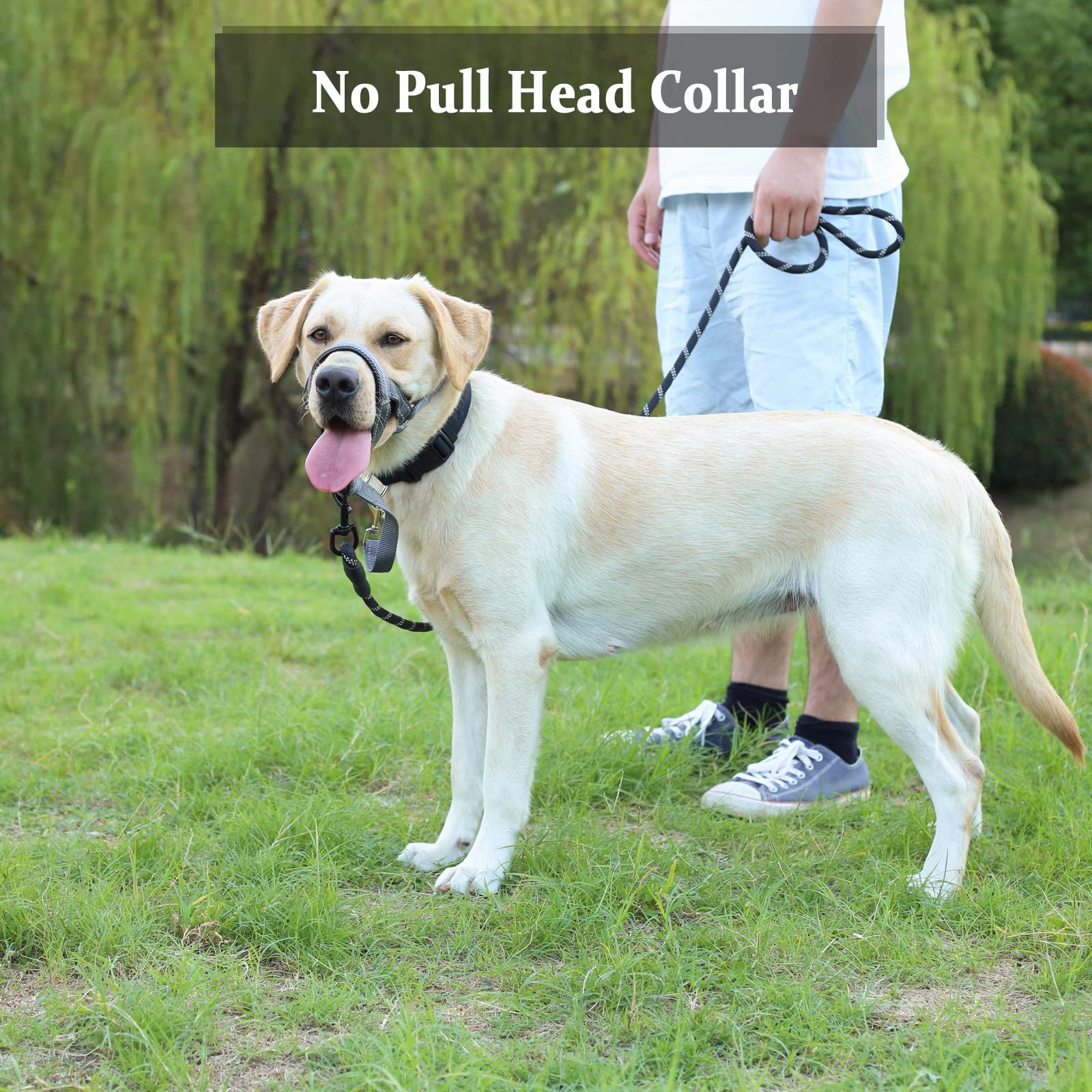 BARKLESS No Pull Dog Head Collar - Soft Padded Head Halter for Small Medium Large Dogs - Gentle Training Solution for Walking & Behavior Control