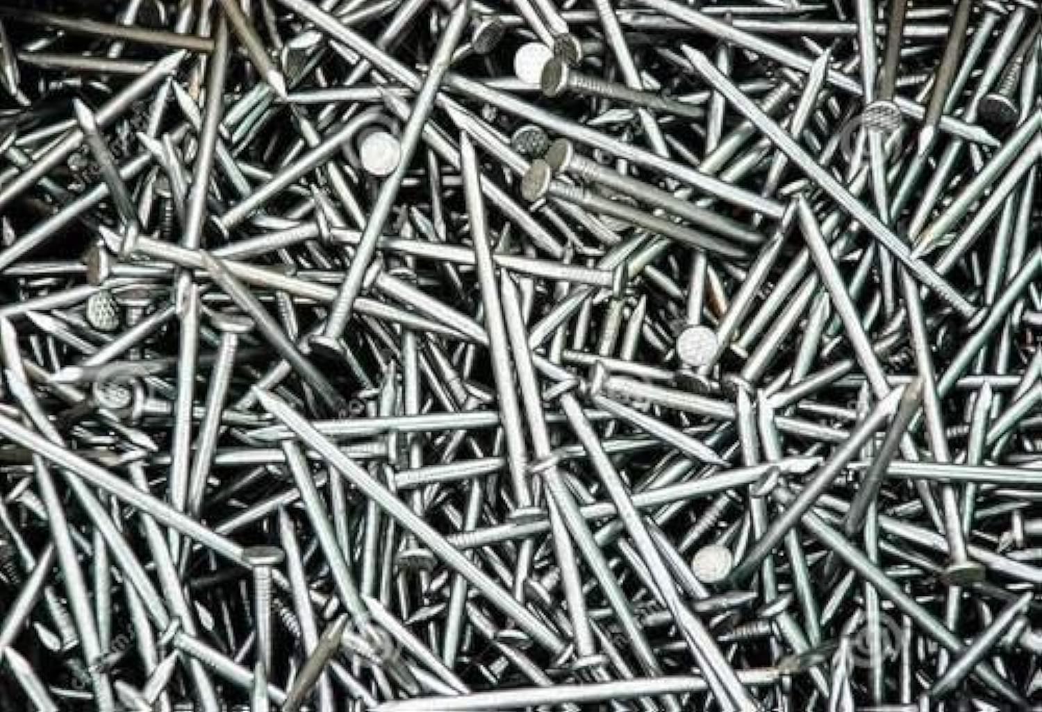VeeEn Standard Iron Nails 2 Inch x 2.9mm (1.0 kg) - Heavy Duty Construction Nails for Woodworking, Framing, and DIY Projects