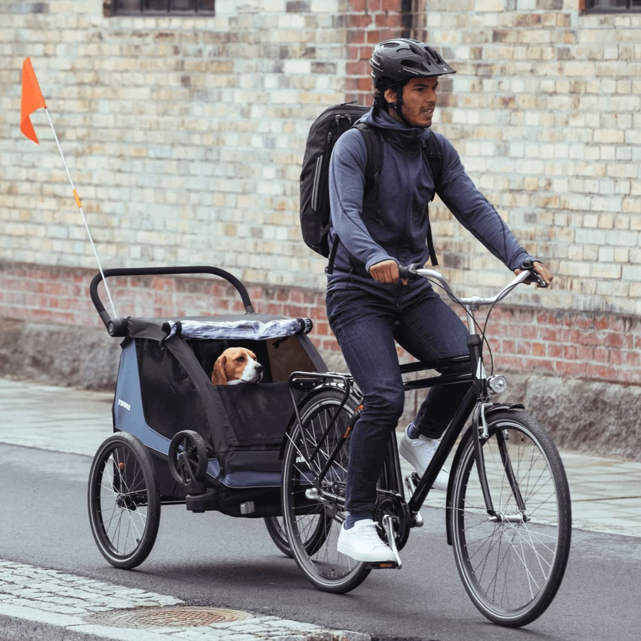 Thule Courier Dog Trailer Kit - Premium Pet Bike Trailer for Dogs, Safe & Comfortable Cycling Accessories - Perfect for Outdoor Adventures, Park Trips & Daily Commutes with Your Pet