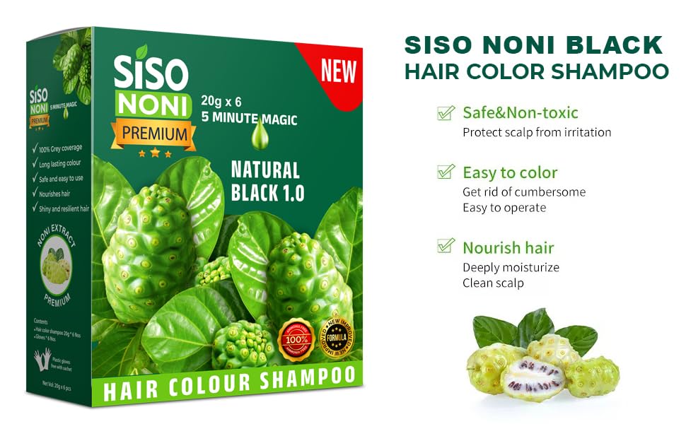 Premium Noni Black Hair Color Shampoo 20G (6 Pack) | Ammonia-Free Natural Permanent Hair Dye for Men & Women | Noni Fruit Enriched, 5-Minute Hair Color | Quick Gray Coverage for Home & Salon Use