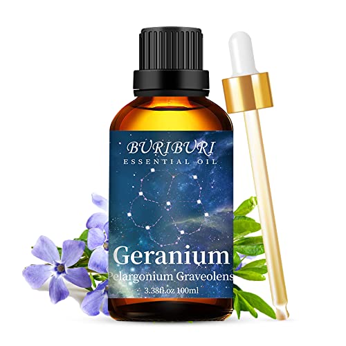 Geranium