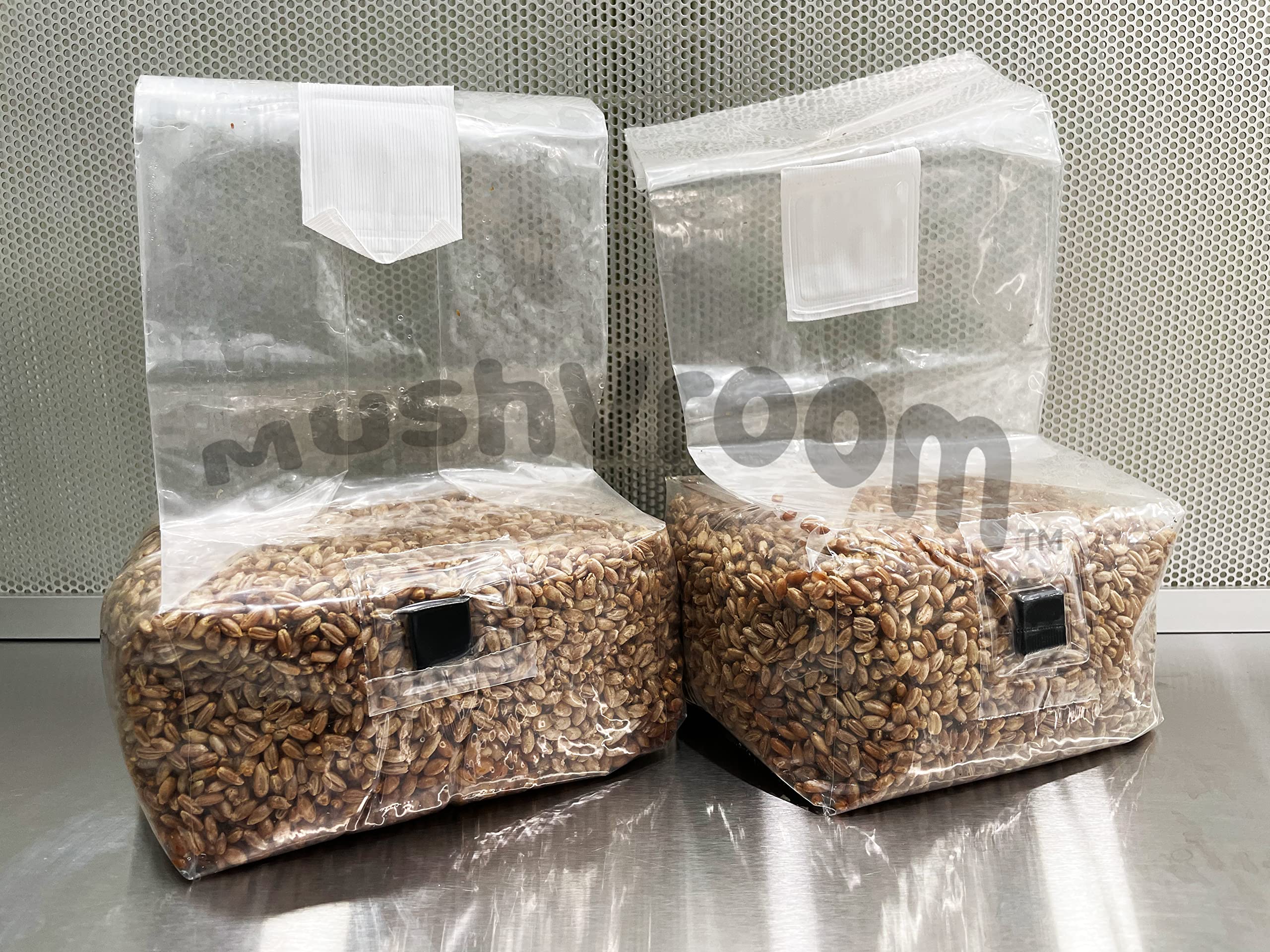 Organic Sterilized Rye Berry Grain Bags - Biodegradable Mushroom Growing Substrate for Home Cultivation & Mycology Labs | Perfect for Oyster, Shiitake, and Lion's Mane Mushrooms