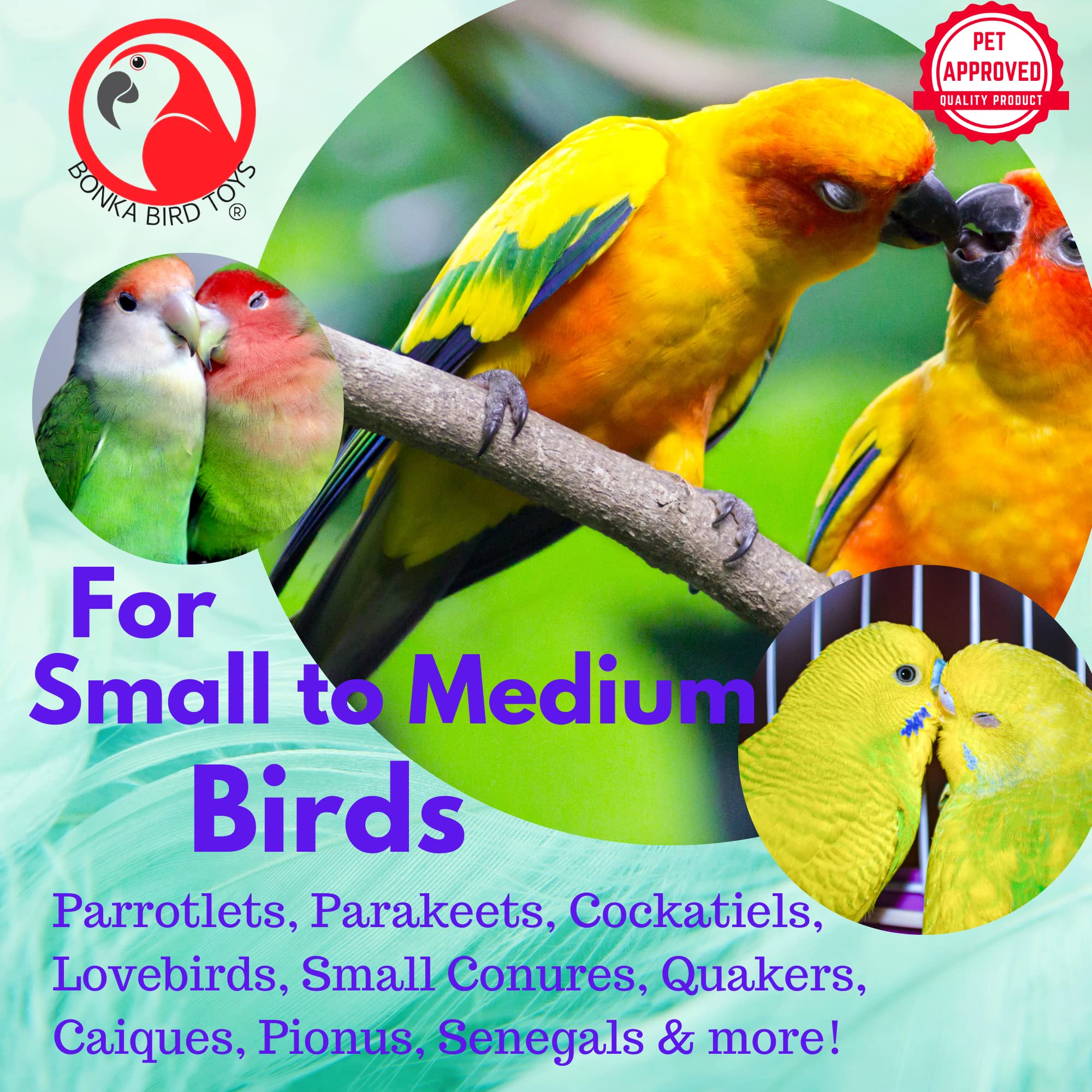 Bonka Bird Toys 3868 Money Pot - Small & Medium Foraging Toy with Treat Box, Chewable Paper & Coin Tube - Perfect for Cockatiels, Parakeets, Conures & Similar Birds - Stimulate Natural Foraging & Play Behavior
