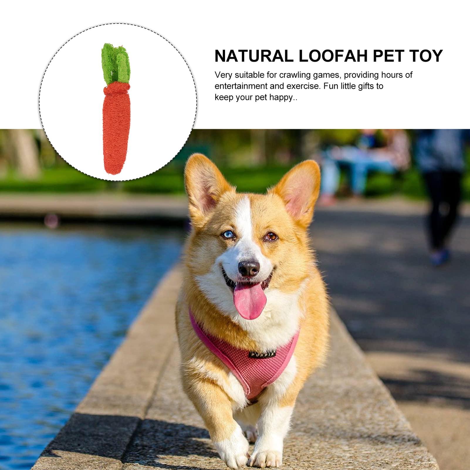 POPETPOP 2-Piece Loofah Rabbit Chew Toy for Small Pets - Natural Hamster Teeth Grinding & Molar Toy - Durable Biting Chew Toy for Rabbits, Hamsters & Guinea Pigs - Perfect for Dental Health & Stress Relief