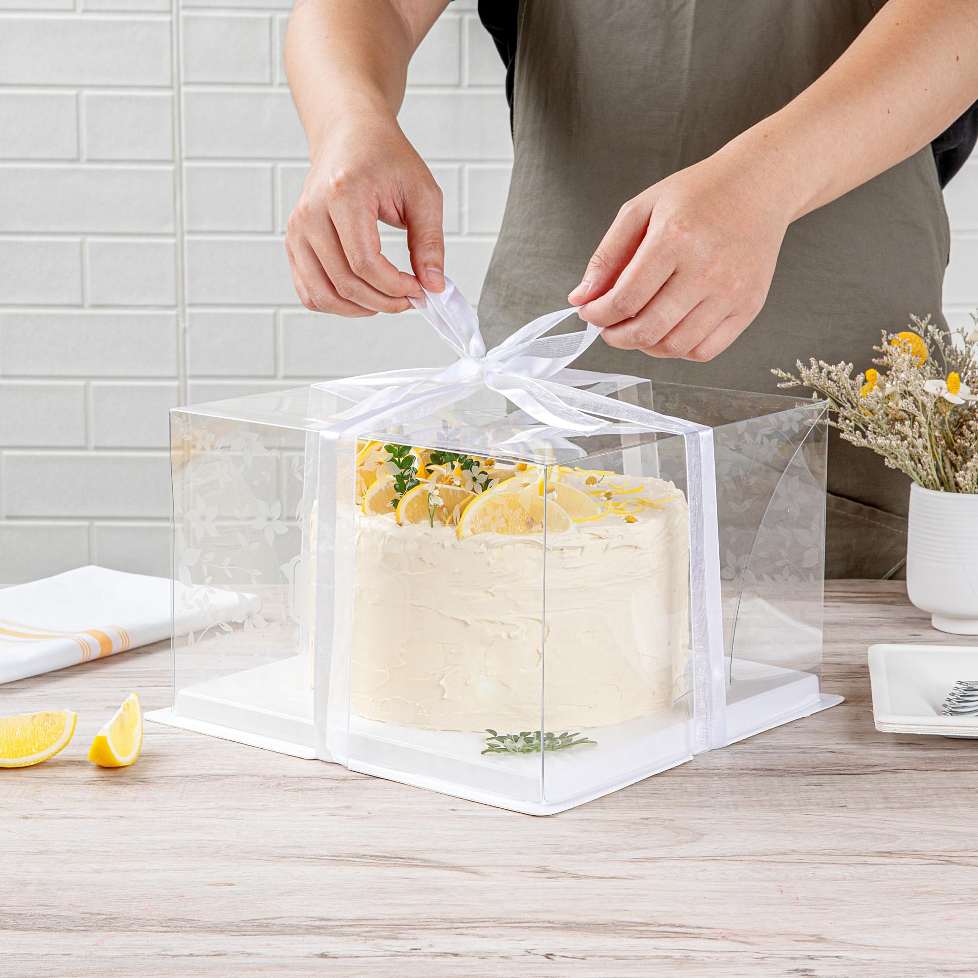10 Inch x 6.75 Inch Clear Plastic Cake Boxes with Gray Ribbon - Grease-Free Base & Floral Design for Birthday Cakes, Wedding Desserts, Cupcakes & Party Treats | Perfect for Bakeries, Catering & Special Events
